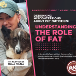 Debunking Misconceptions about Pet Nutrition-
