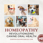 Homeopathy - Revolutionizing Canine Oral Health