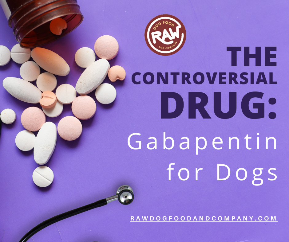 The Controversial Drug- Gabapentin for Dogs