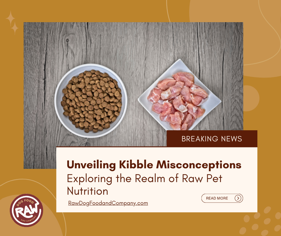 Unveiling Kibble Misconceptions - Exploring the Realm of Raw Pet Nutrition