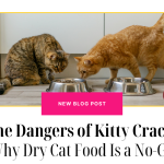 Discover the hidden perils of Kitty Crack in our exposé! Uncover the reasons why dry cat food should be avoided for a healthier feline friend.