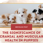 The Significance of Cranial and Muscular Health in Puppies