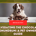 Navigating the Chocolate Conundrum- A Pet Owner's Guide