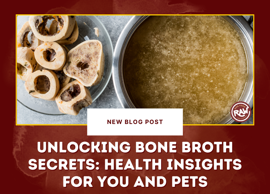 Unlocking Bone Broth Secrets- Health Insights for You and Pets