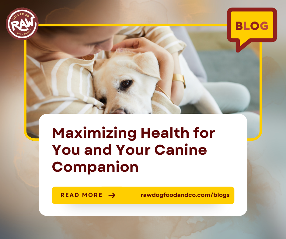 Maximizing Health for You and Your Canine Companion