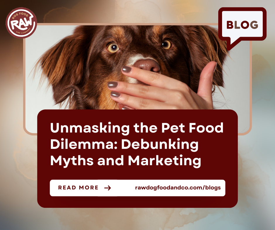 Unmasking the Pet Food Dilemma- Debunking Myths and Marketing