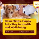 Calm Minds, Happy Pets- Key to Health and Well-being