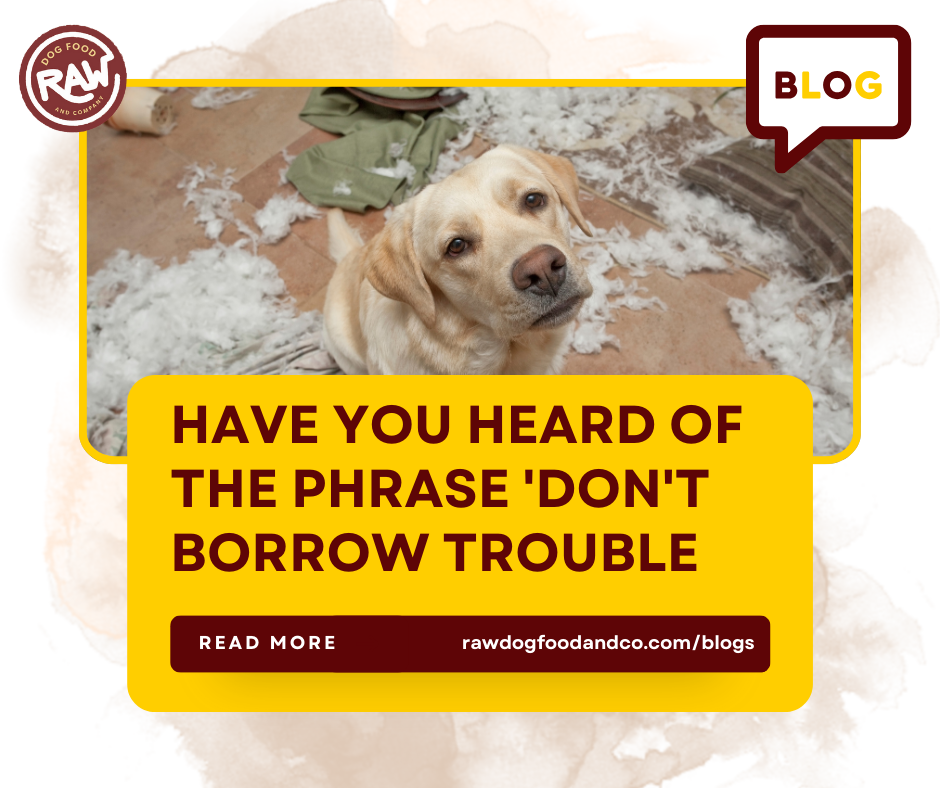 Have you heard of the phrase Don't borrow trouble
