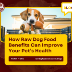 How Raw Dog Food Benefits Can Improve Your Pet’s Health