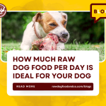How Much Raw Dog Food Per Day Is Ideal for Your Dog