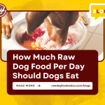 How Much Raw Dog Food Per Day Should Dogs Eat
