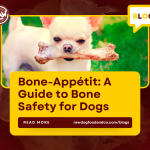 Bone-Appétit A Guide to Bone Safety for Dogs